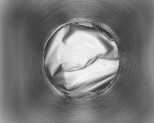 X0000064761244200603031751