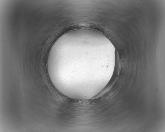 X0000064761249200603031750