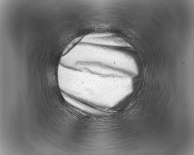 X0000064761252200603031750