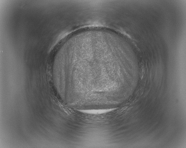 X0000064761255200603031750