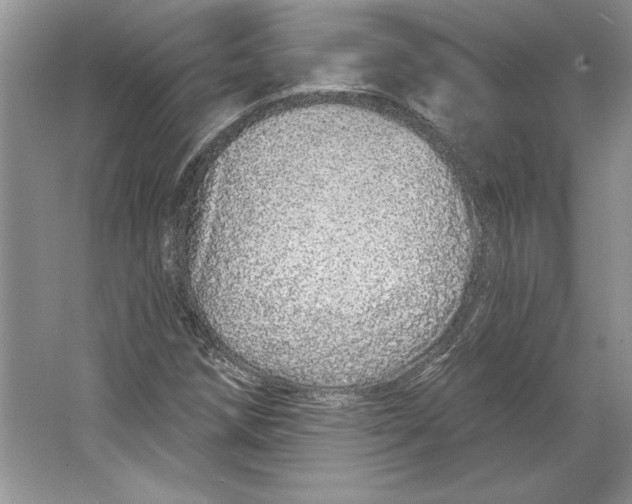 X0000064761258200603031750