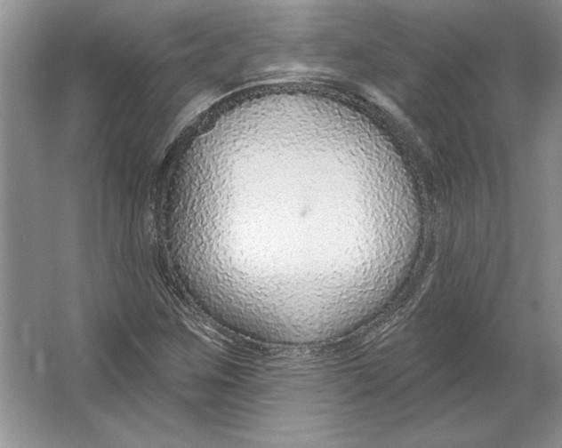 X0000064761259200603031750