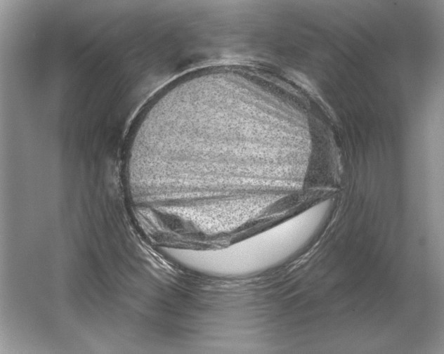 X0000064761260200603031750
