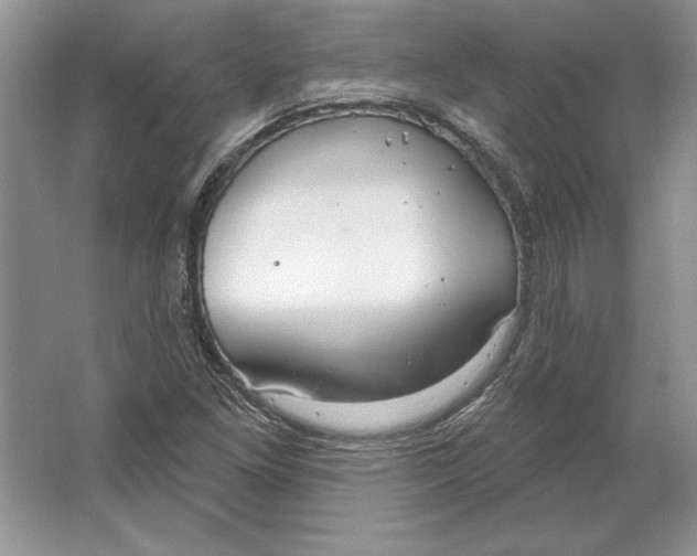 X0000064761261200603031750