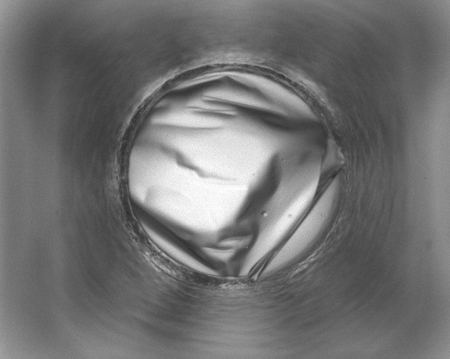 X0000064761264200603031750