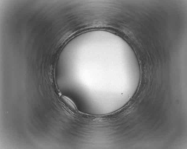 X0000064761265200603031750