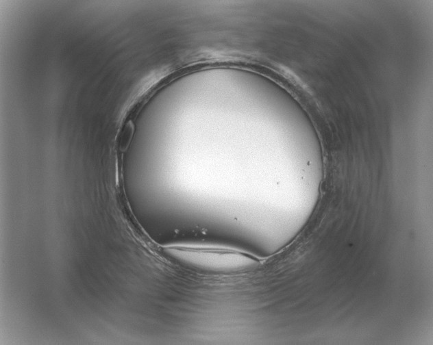 X0000064761269200603031750