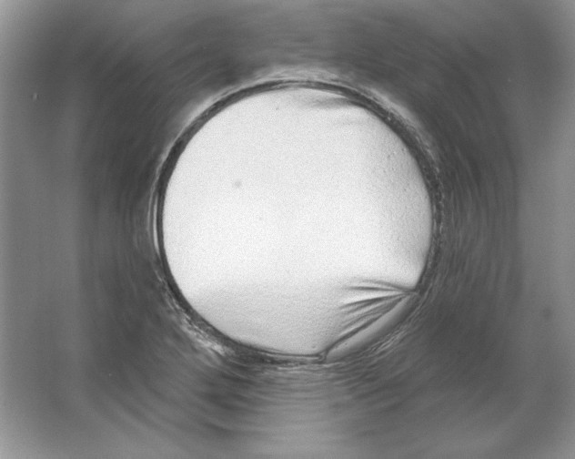 X0000064761272200603031750