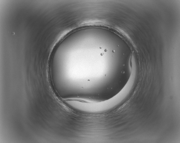 X0000064761277200603031750