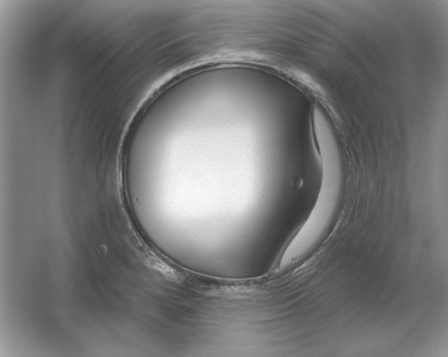 X0000064761280200603031750
