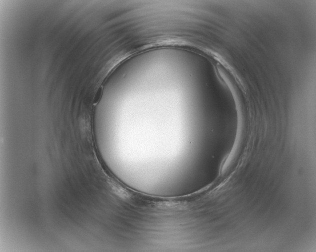 X0000064761281200603031750