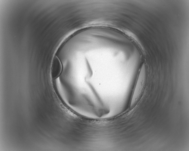 X0000064761288200603031750