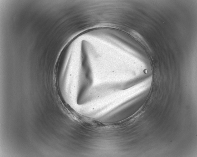 X0000064761292200603031749
