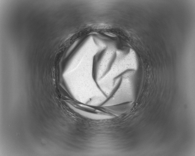 X0000064761301200603031749