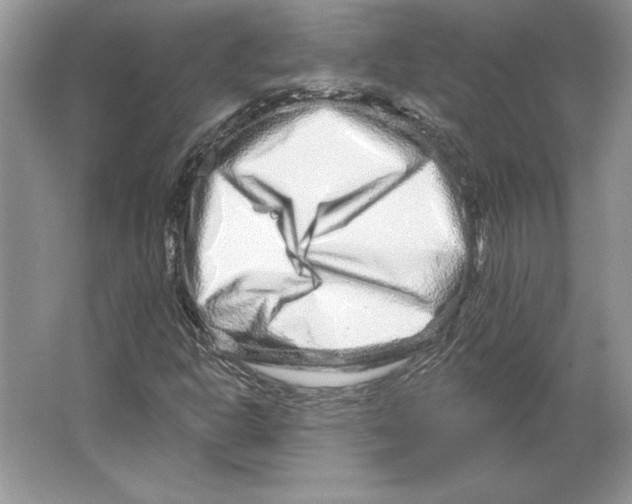 X0000064761302200603031749