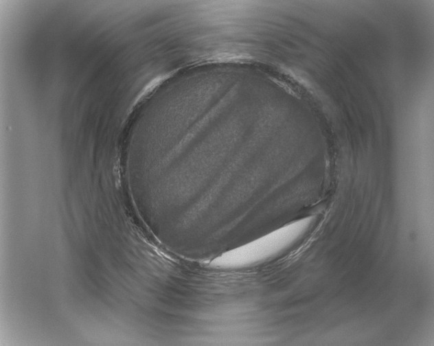 X0000064761306200603031749