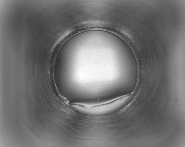 X0000064761309200603031749