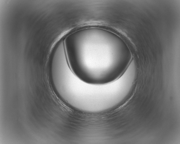 X0000064761317200603031749
