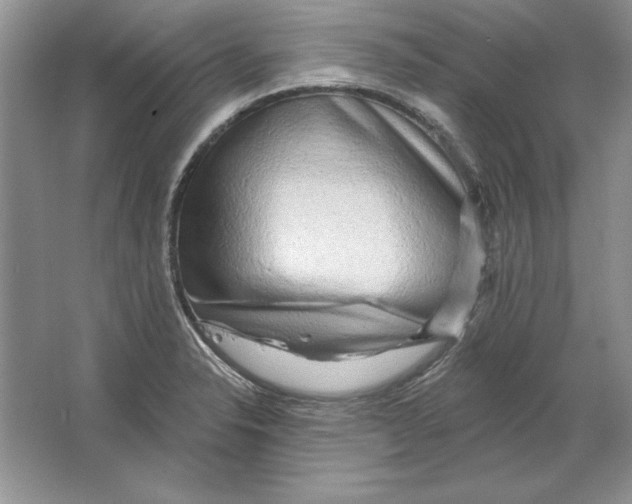 X0000064761326200603031749