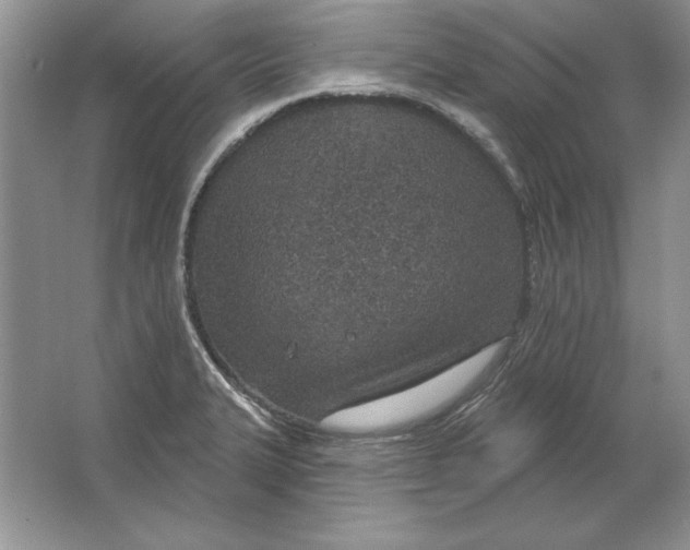 X0000064761327200603031749