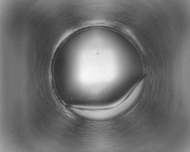 X0000064761328200603031749