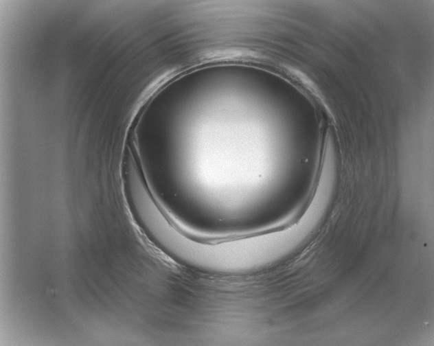 X0000064761330200603031749