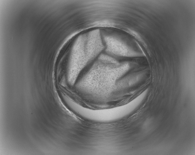 X0000064761331200603031749