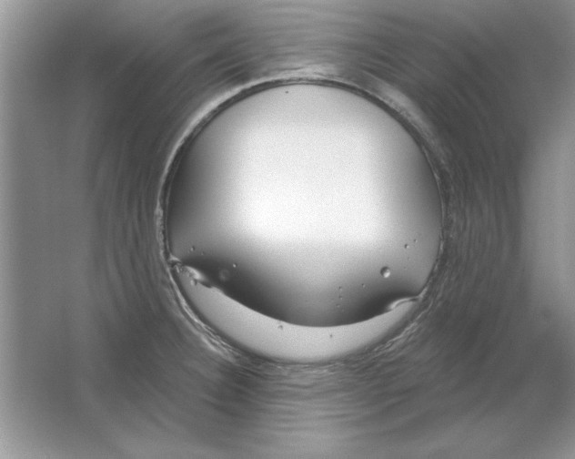 X0000064761332200603031749