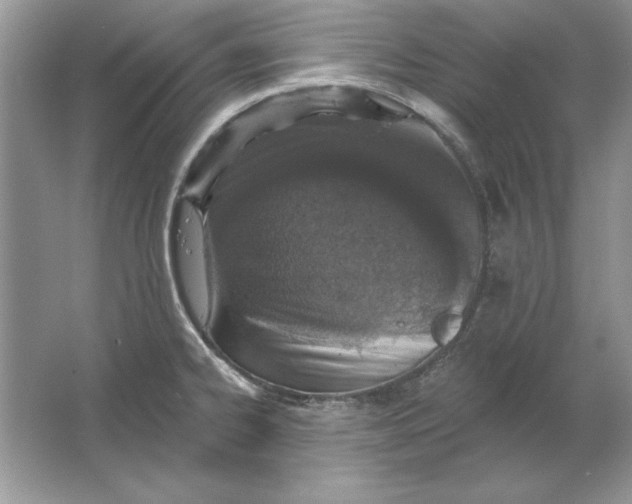 X0000064761334200603031749