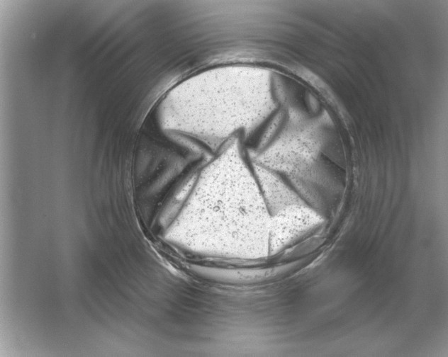 X0000064761337200603031749