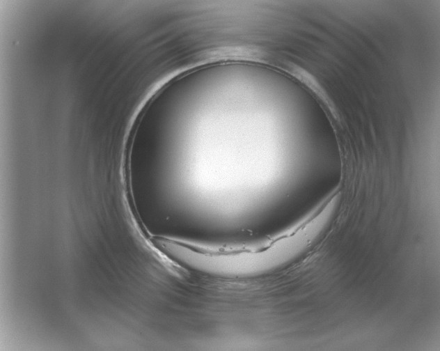 X0000064761339200603031749