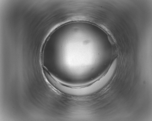 X0000064761342200603031749