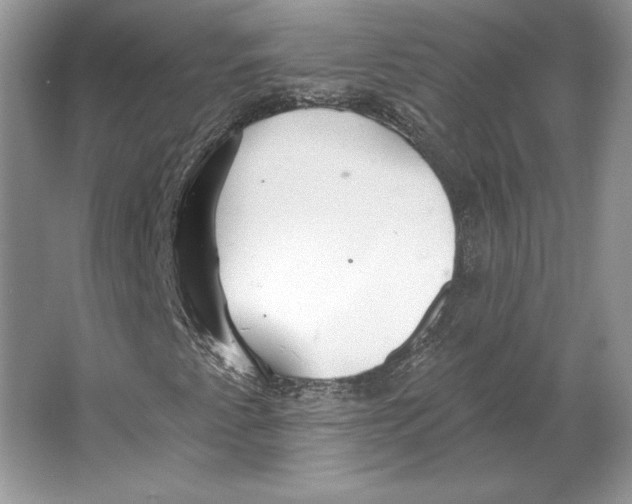X0000064761345200603031749