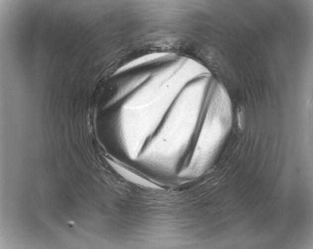 X0000064761347200603031749