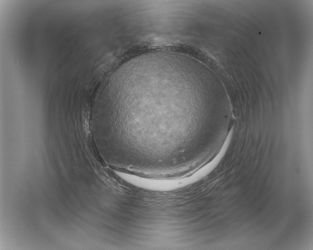 X0000064761348200603031749