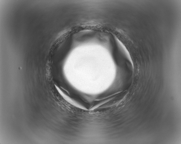 X0000064761350200603031749