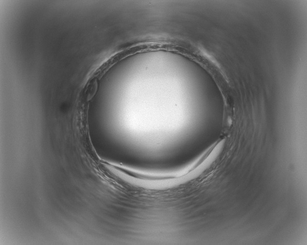 X0000064761352200603031748