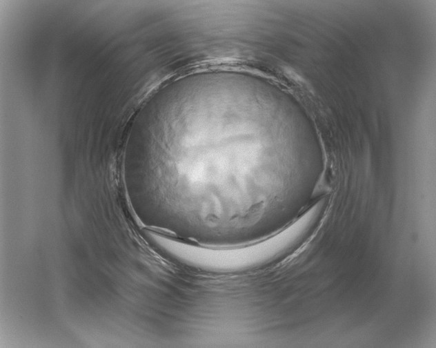 X0000064761353200603031748