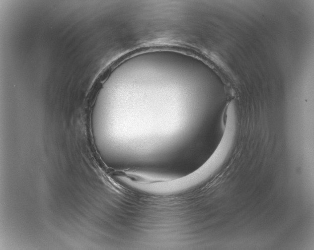 X0000064761356200603031748