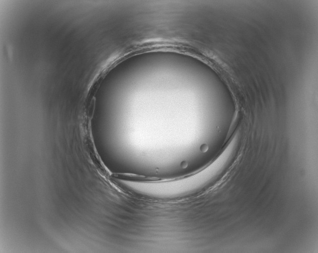 X0000064761357200603031748