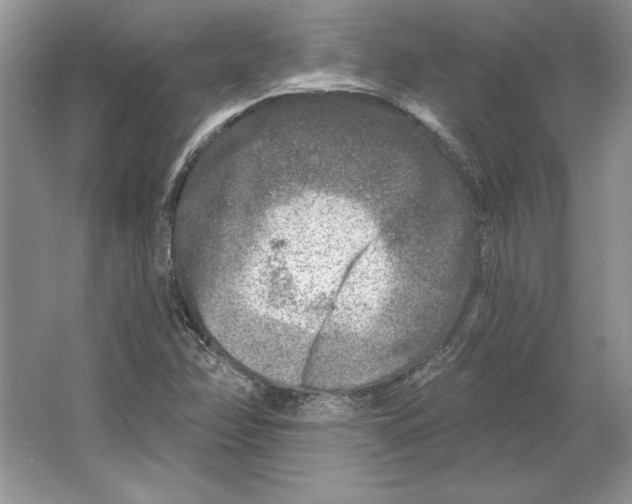 X0000064761358200603031748