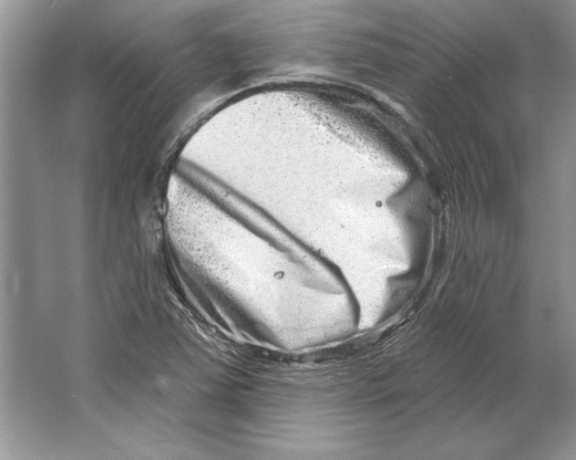 X0000064761363200603031748