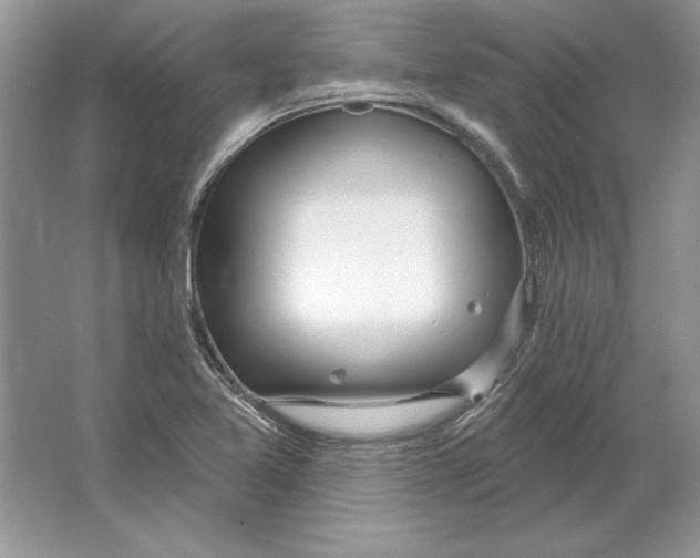 X0000064761365200603031748