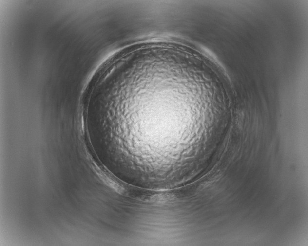 X0000064761368200603031748
