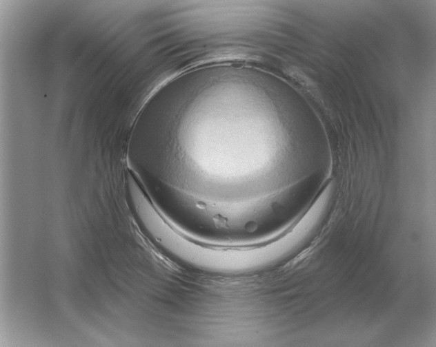 X0000064761369200603031748