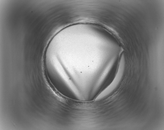 X0000064761375200603031748