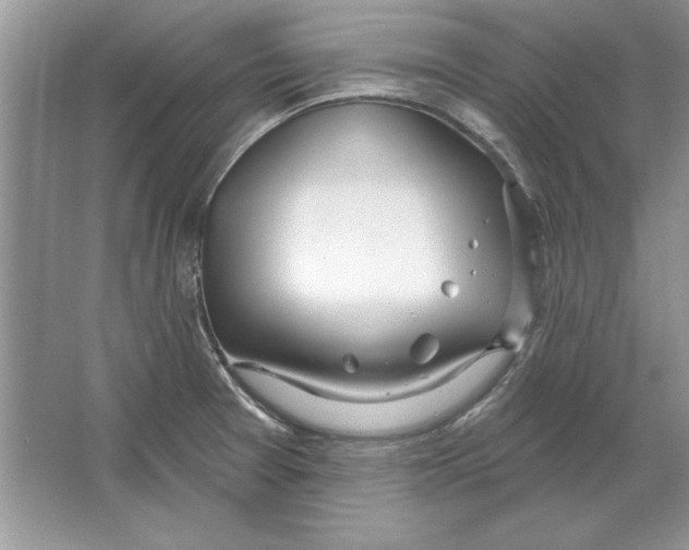 X0000064761377200603031748