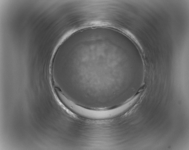 X0000064761381200603031748