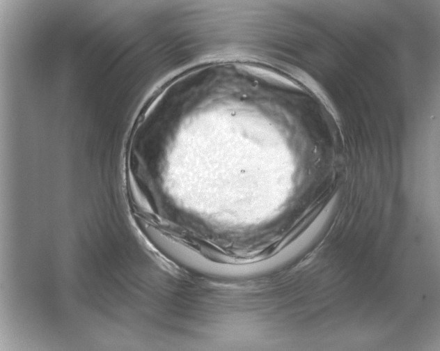 X0000064761388200603031748