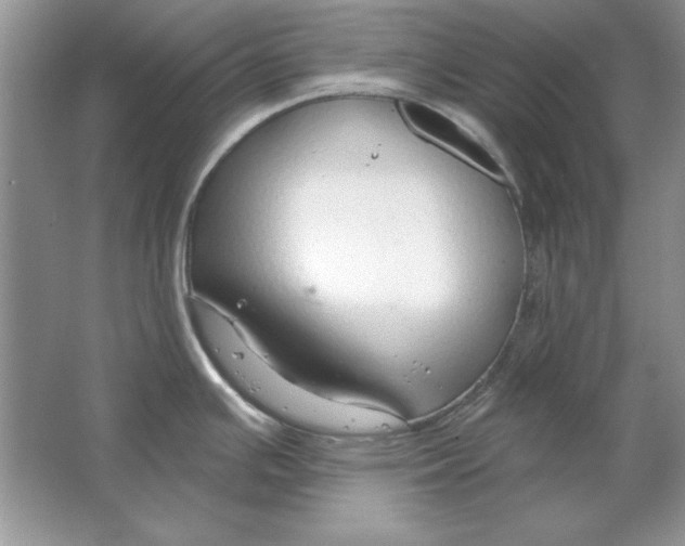 X0000064761391200603031748